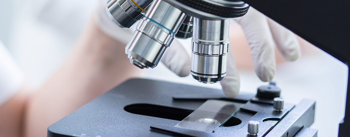 群馬県前橋市の動物病理診断│アニマル病理診断ラボ