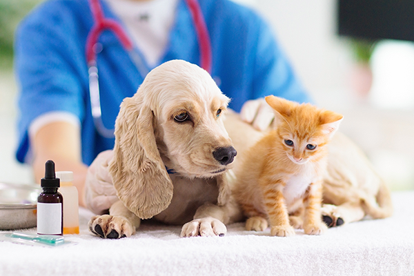 サービス案内・サポート業務